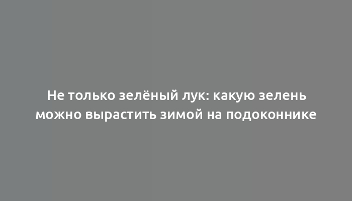 Не только зелёный лук: какую зелень можно вырастить зимой на подоконнике