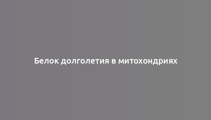 Белок долголетия в митохондриях