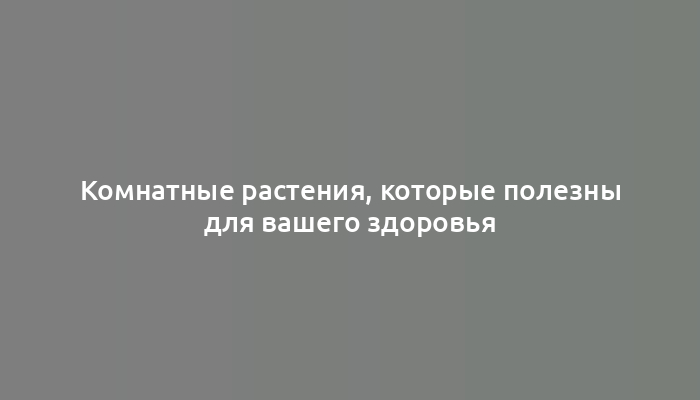 Комнатные растения, которые полезны для вашего здоровья